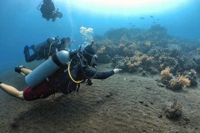 Fun Diving Tulamben Bali - For Certified Divers - The 6:30 a.m. Pickup and the Journey East