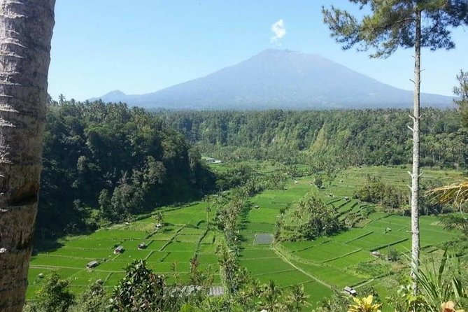 Gate Heaven Lempuyang Tirta Gangga East Bali Private Guided Tour - Transport, pickup areas, and the real cost