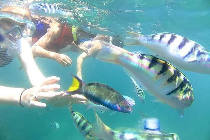 Gate Heaven Tirta Gangga With Snorkeling Private Guided Tour - Why this private Bali day works