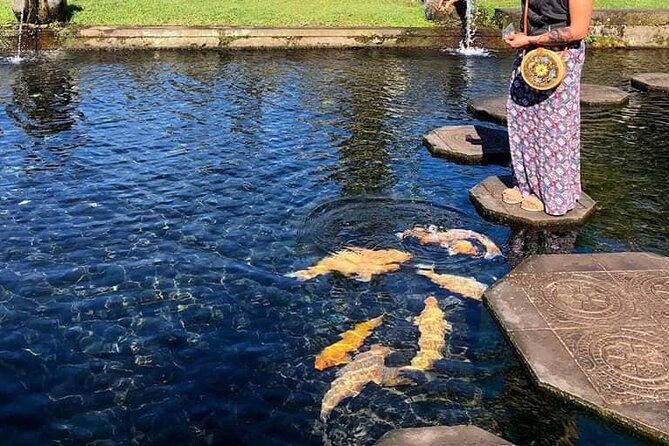 Gate of Heaven Tour With Guide : All-Inclusive Best Experience - Lunch and Pool Time at Wapa di Ume Sidemen