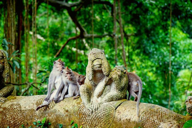 Goa Gajah / Elephant Cave Temple And Ubud Tour - All Inclusive - Why This Private Ubud Day Works Well