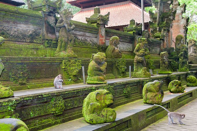 Goa Gajah / Elephant Cave Temple And Ubud Tour - All Inclusive - The Bali Swing at DAlas