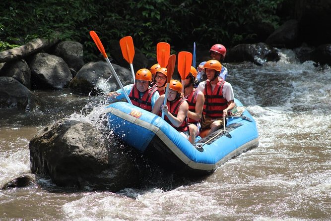 Green Bali Rafting Ticket And Transfer - Why This Ayung River Trip Makes Sense