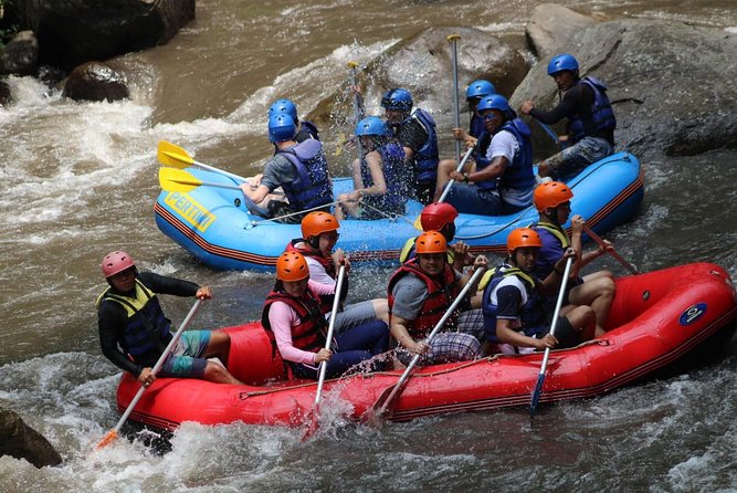 Green Bali Rafting Ticket And Transfer - Private Groups Make A Difference