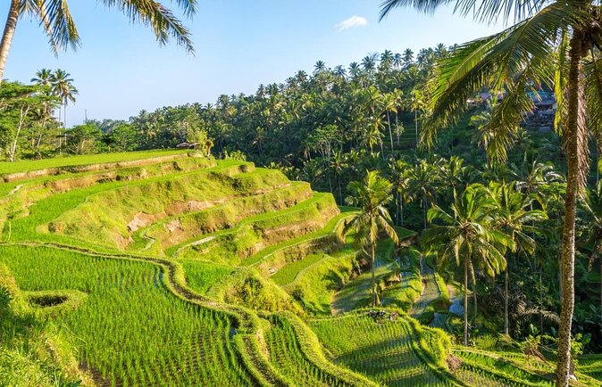 Half Day Bali Tour - Key points to know before booking