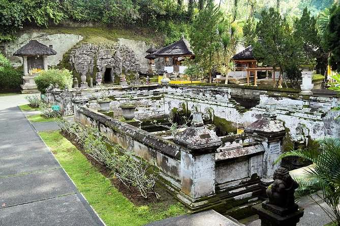 Half Day Bali Tour - Tegalalang Rice Terrace is the visual highlight