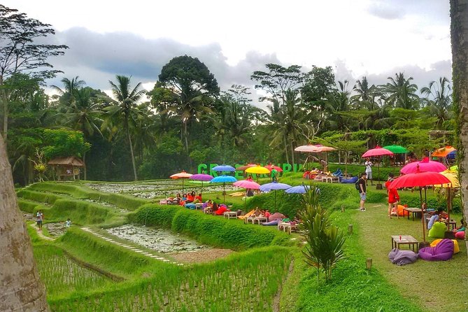 Half Day Cycling Tour ( Manual Bike ) - Rice paddies and Bali’s irrigation system