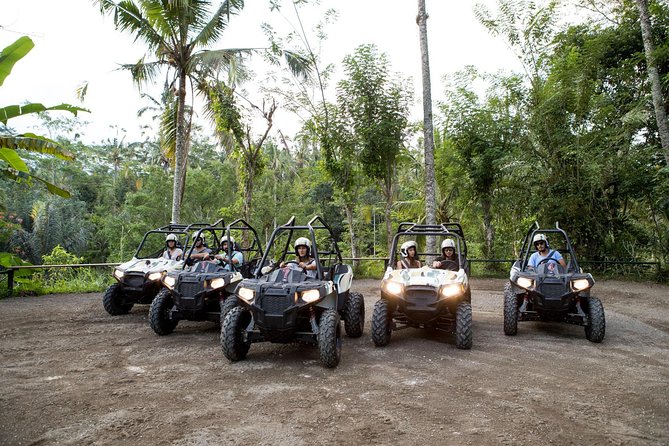Half Day Jungle Buggies in Bali with Guide - Key points at a glance