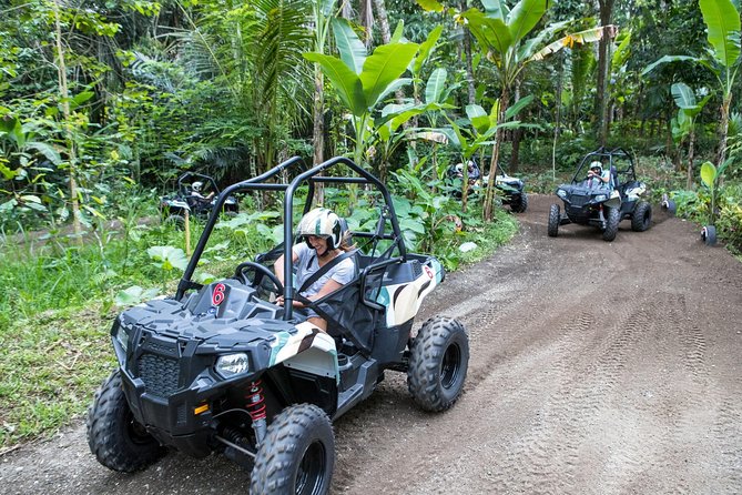 Half Day Jungle Buggies in Bali with Guide - Why this Bali buggy tour is more than a short joy ride