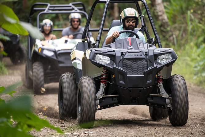 Half Day Jungle Buggies in Bali with Guide - What the jungle setting adds
