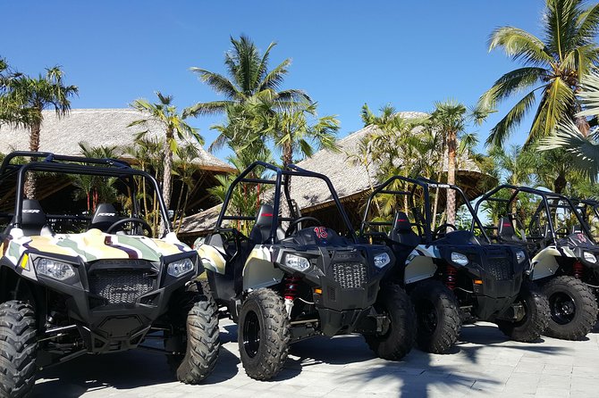 Half Day Jungle Buggies in Bali with Guide - Chocolate tasting at the Mason showroom