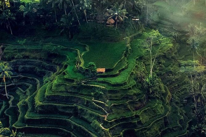 Half Day Private Tour in Ubud - Why a Private Car Helps Around Ubud