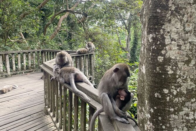 Half Day Private Tour in Ubud - What the $57 Price Really Buys
