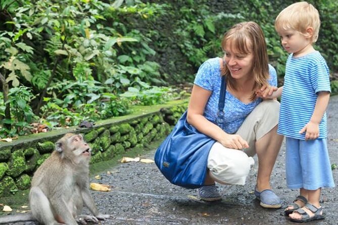 Half Day Private Tour in Ubud - 8 a.m. Pickup and the Ride Into Ubud