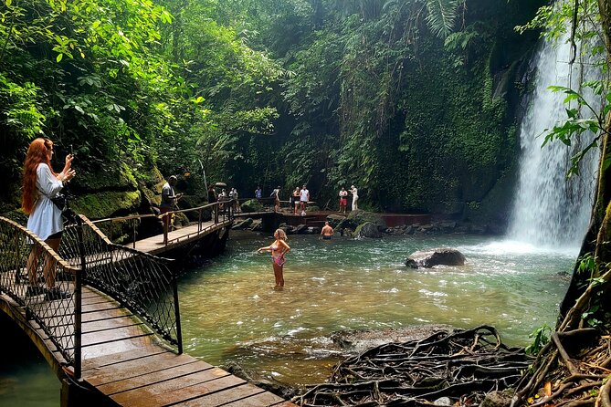 Half Day Tour Ubud Rice Terrace with Activities and Waterfall - Key points at a glance