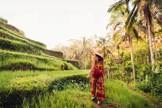 Half Day Tour Ubud Rice Terrace with Activities and Waterfall - What this short Ubud tour actually offers