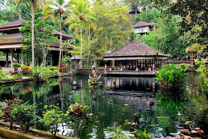 Half Day Tour Ubud Rice Terrace with Activities and Waterfall - Ulu Petanu Waterfall: a quiet forest pause