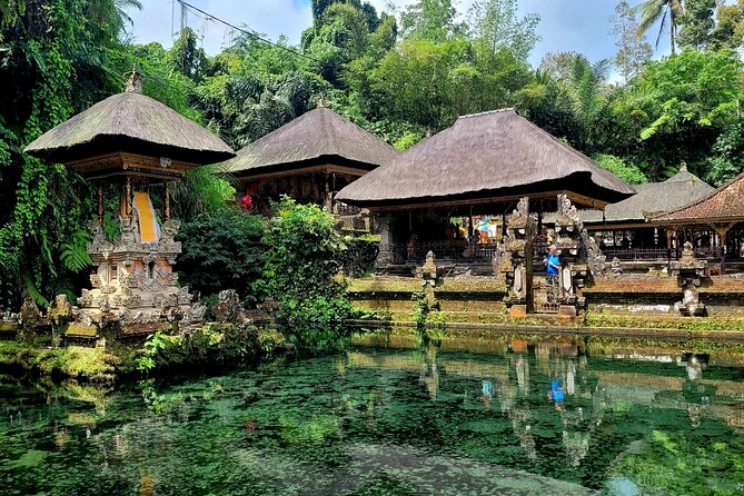 Half Day Tour Ubud Rice Terrace with Activities and Waterfall - Who will enjoy this tour most?