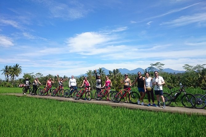 Half-Day Ubud Electric Cycling Tour to Tirta Empul Water Temple - Why an electric bike works well around Ubud
