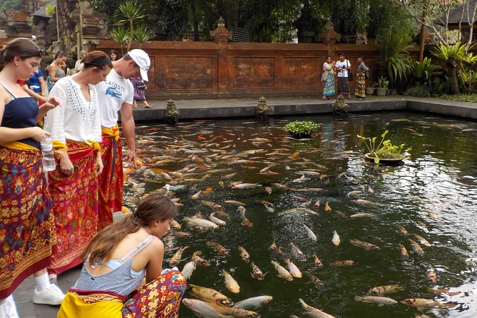 Half-Day Ubud Electric Cycling Tour to Tirta Empul Water Temple - What the 8:00 a.m. start feels like