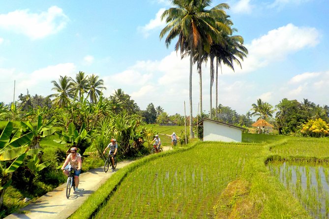 Half-Day Ubud Electric Cycling Tour to Tirta Empul Water Temple - Reaching Tirta Empul Water Temple