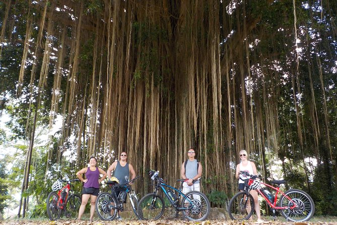 Half-Day Ubud Electric Cycling Tour to Tirta Empul Water Temple - Is $49 a good value?
