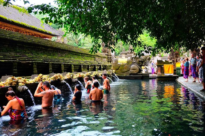 Half-Day Ubud Electric Cycling Tour to Tirta Empul Water Temple - Who will enjoy this ride most?