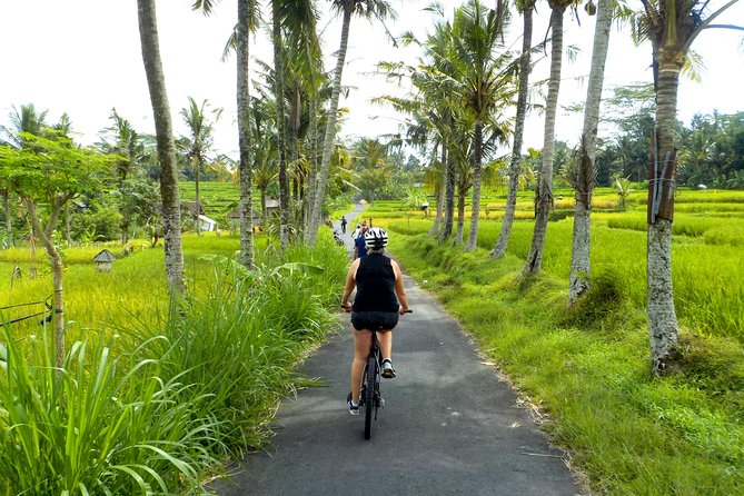 Half-Day Ubud Electric Cycling Tour to Tirta Empul Water Temple - Rice terraces, village roads, and useful stops