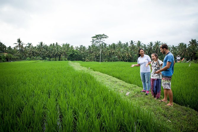 Half-Day Ubud Heritage Food Tour - Key points at a glance