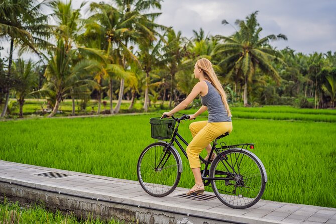 Half-Day Ubud Rice Field and Village Cycling Tour - Key points to know before you book