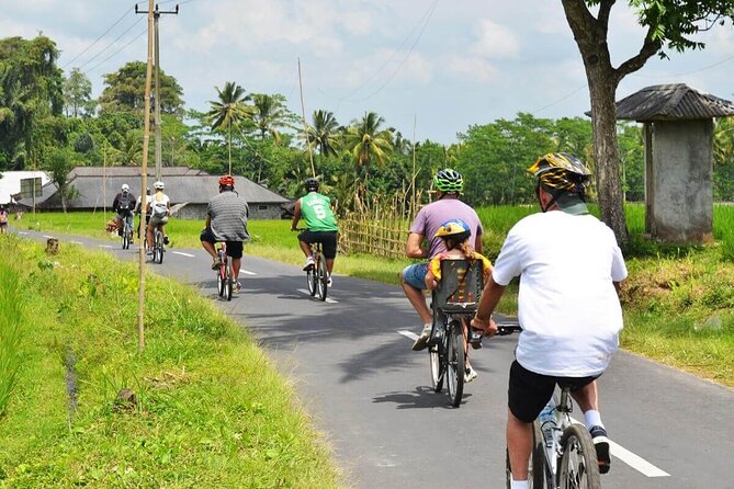 Half-Day Ubud Rice Field and Village Cycling Tour - Why cycling gives you a better view of rural Bali