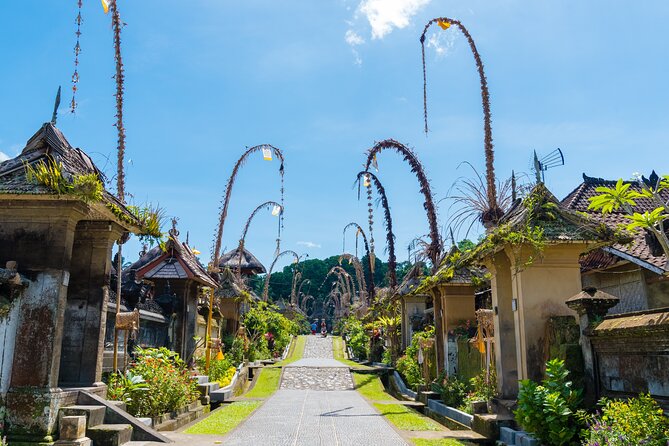 Half-Day Ubud Rice Field and Village Cycling Tour - Rice terraces, farms, and village roads
