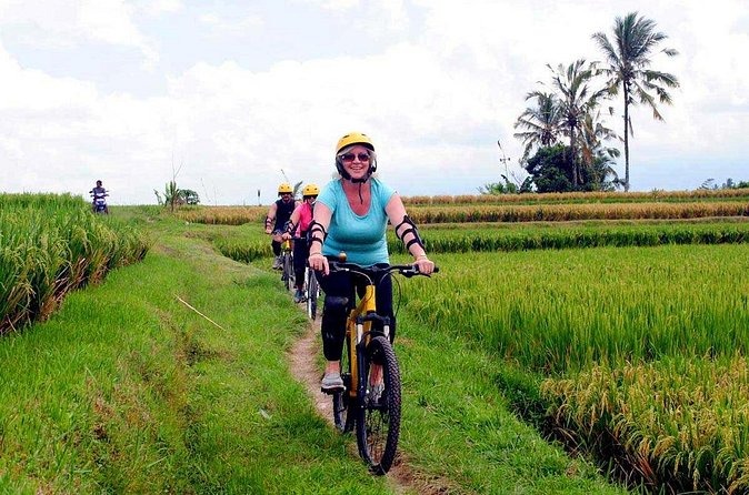 Half-Day Ubud Rice Field and Village Cycling Tour - Visiting a traditional Balinese house compound