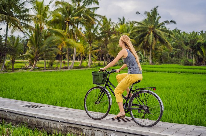 Half-Day Ubud Rice Field and Village Cycling Tour - Lunch after the ride