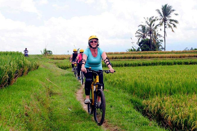Half-Day Ubud Rice Field and Village Cycling Tour - What the $41.03 price really includes