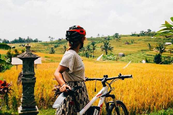 Half-Day Ubud Rice Field and Village Cycling Tour - Riding from Kintamani toward Ubud