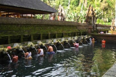 Half Day Ubud Tour – Private Guided Tour