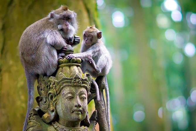 Half Day Ubud Tour: Ubud Unique Spots - What the guides add to the day