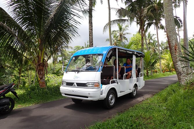 Half Day Ubud Waterfall Tour - Key Points Before You Book