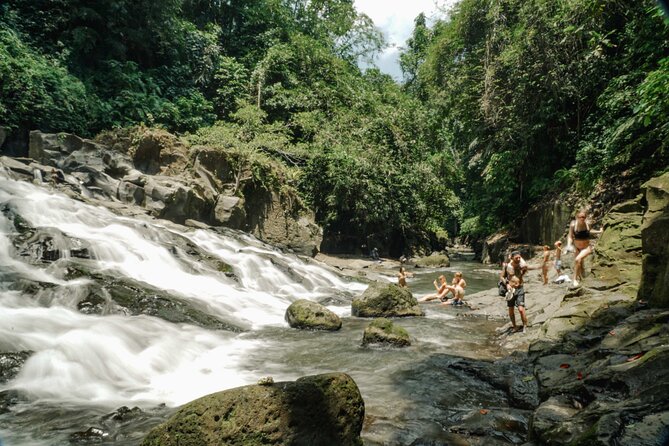 Half Day Ubud Waterfall Tour - Why This Waterfall Tour Works So Well