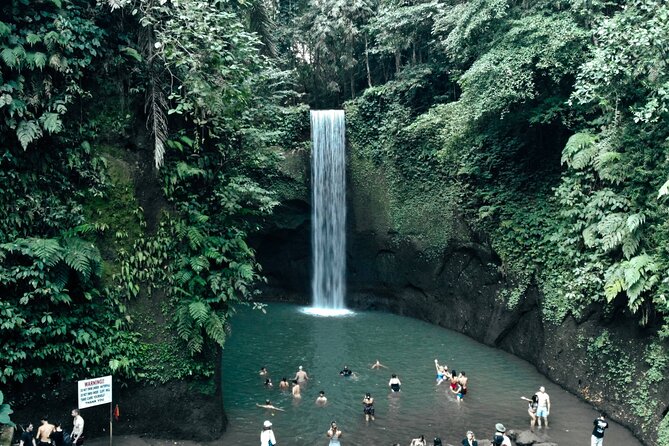 Half Day Ubud Waterfall Tour - Timing, Transport, and Group Size