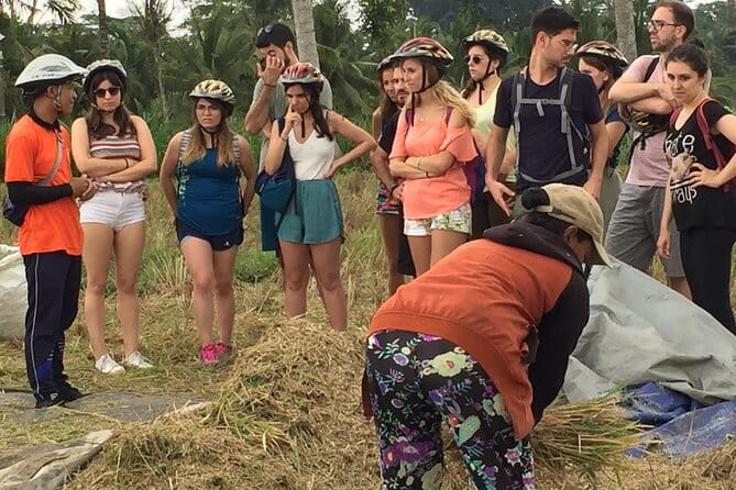HALO BIKE Downhill Bali Countryside Cycling Tour - Bangli’s back roads and rice paddies