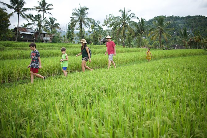 Haunted Valley Waterfall ATV and Bike Tour - The morning pickup and ride into central Bali