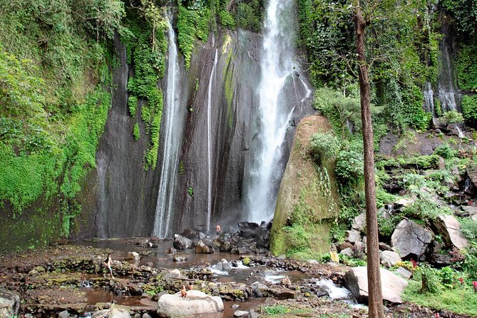 Haunted Valley Waterfall ATV and Bike Tour - What the guides and driver add to the day