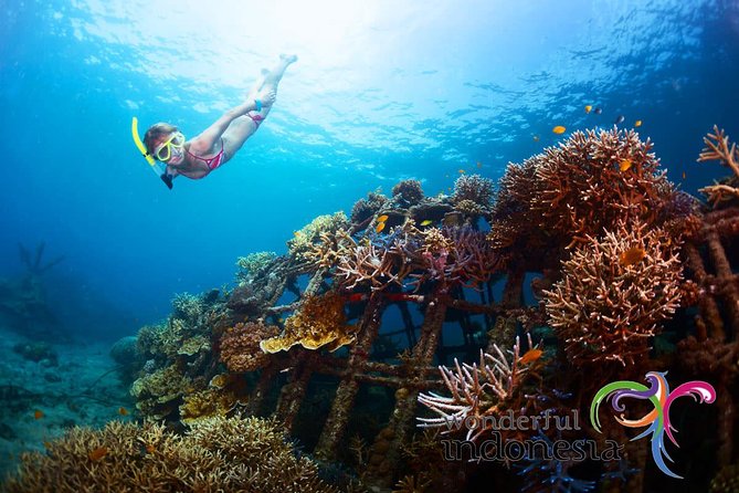 Have fun 1 day in Nusa Penida: snorkeling, kelingking & broken beach incl lunch - Key points to know before booking