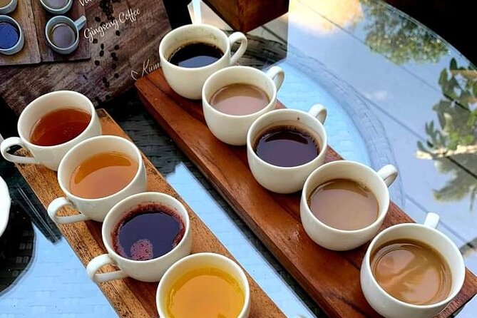 Healing purification spiritual Tour - Is $74 a fair price for this Bali experience?