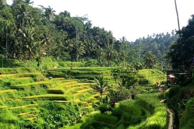 Heaven Gate, Tirtagangga and Tukad Cepung Waterfall - All Inclusive - What the $95 tour includes