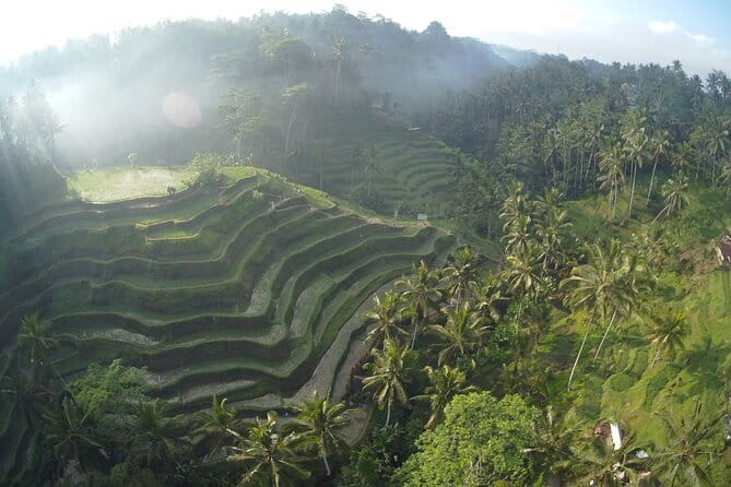 Hidden North Waterfall Bali All inclusive - Guides, photography, and the private advantage