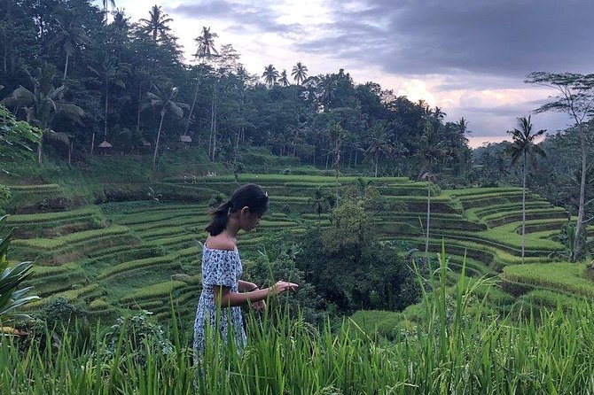 Hire Bali Driver for 10-hour (Bali as You Please) - Eastern Bali: Lempuyang and Tirta Gangga