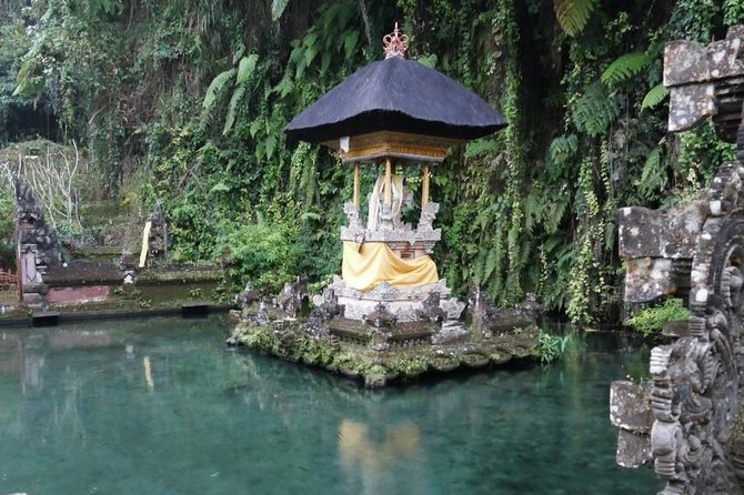 Hire Bali Driver for 10-hour (Bali as You Please) - Bedugul and the northern route
